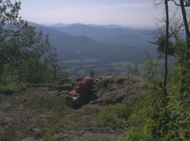 Thumbnail image for AADL Presents