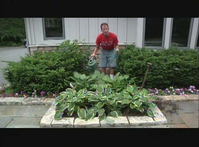 Thumbnail image for The Northwoods Cooking Show