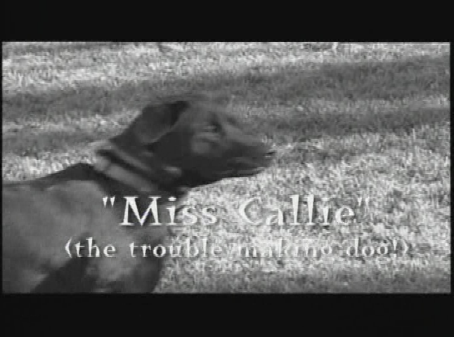 Thumbnail image for The Northwoods Cooking Show