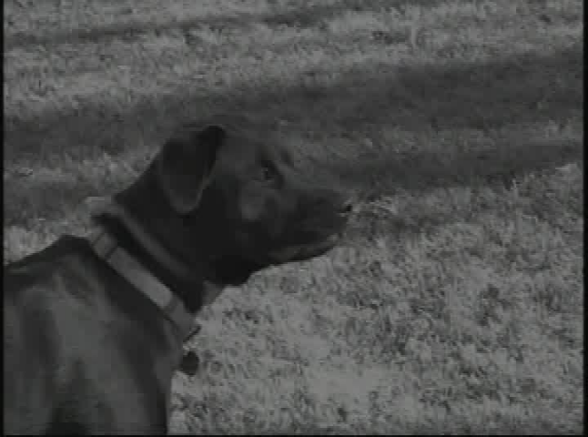 Thumbnail image for The Northwoods Cooking Show