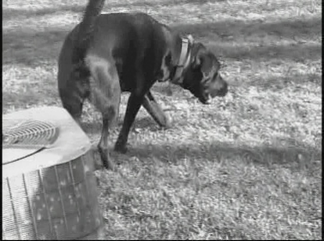 Thumbnail image for The Northwoods Cooking Show