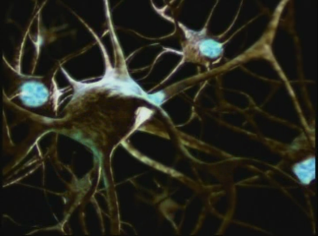 Thumbnail image for Sharing Miracles