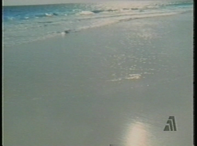 Thumbnail image for Voices & Visions