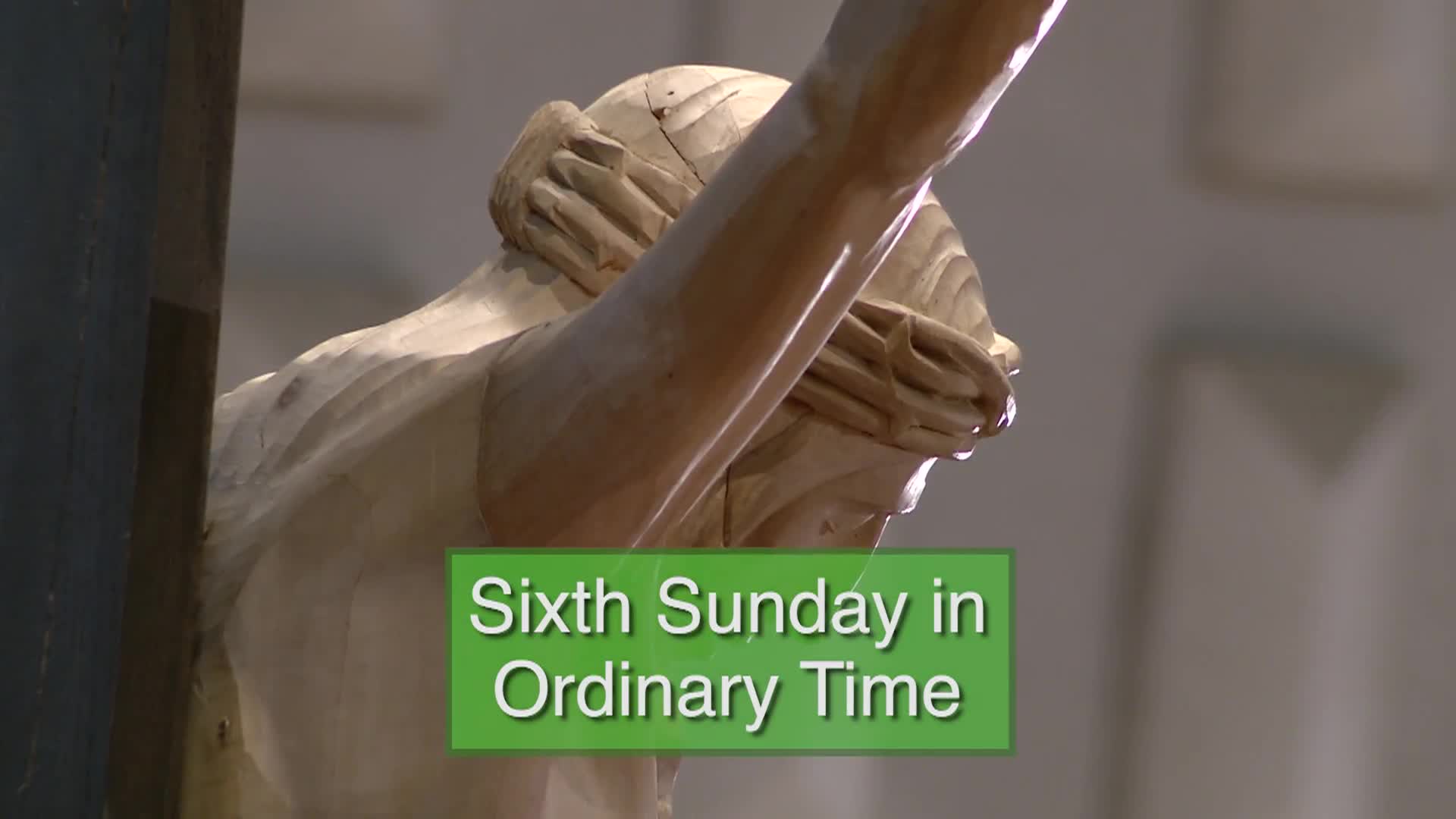 Diocese of Lansing Outreach Mass: February 15, 2026