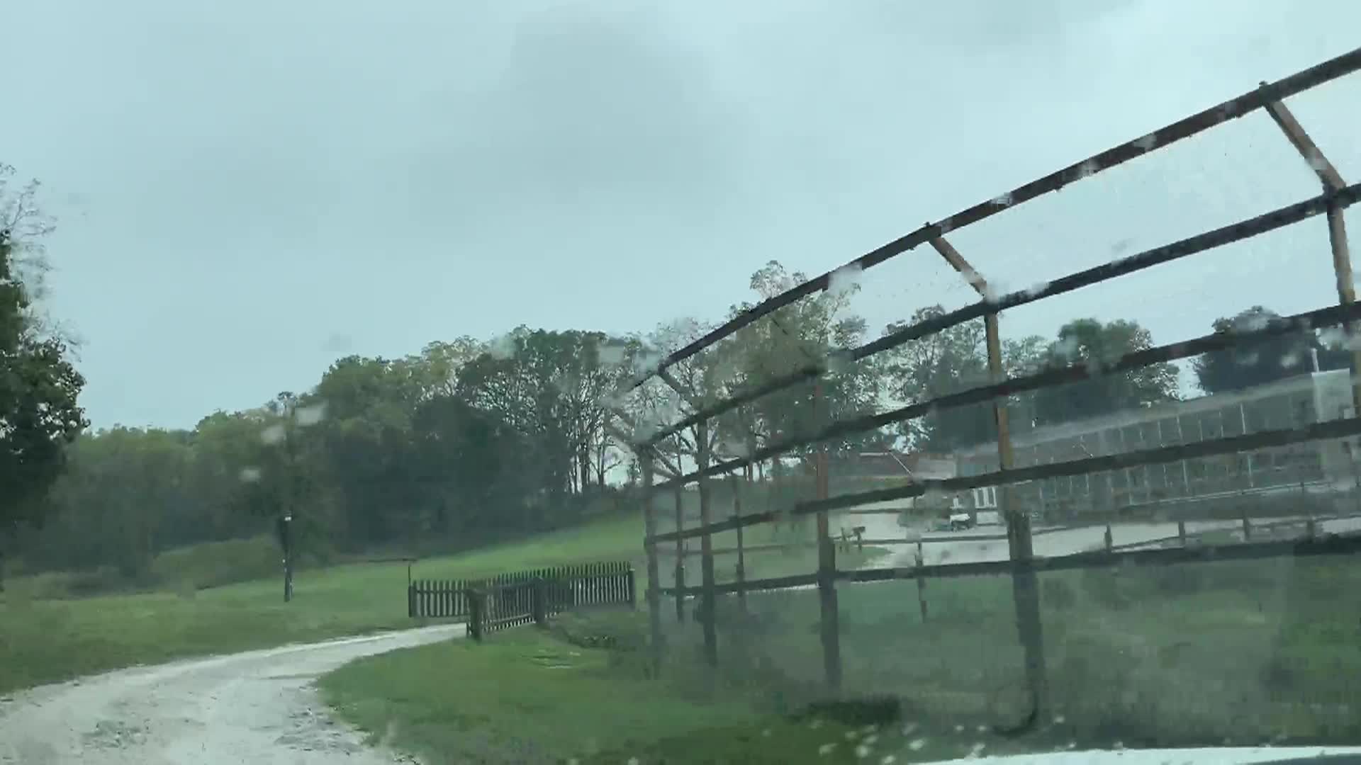 Thumbnail image for Cooking and Kids