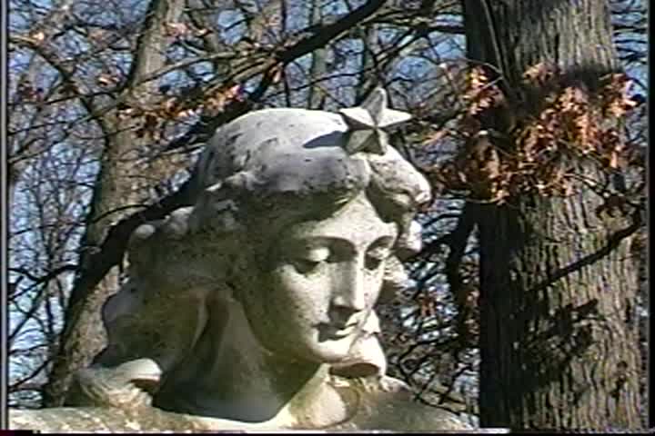 Thumbnail image for Angels of Michigan