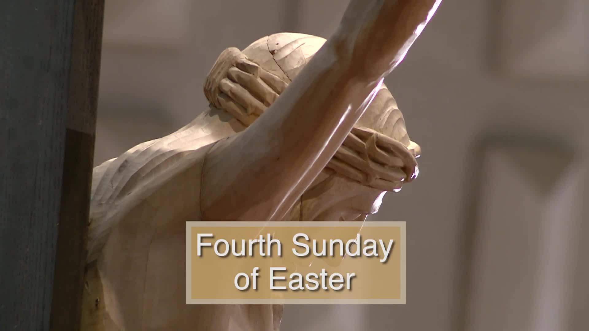 Thumbnail image for Diocese of Lansing Outreach Mass: April 26, 2026