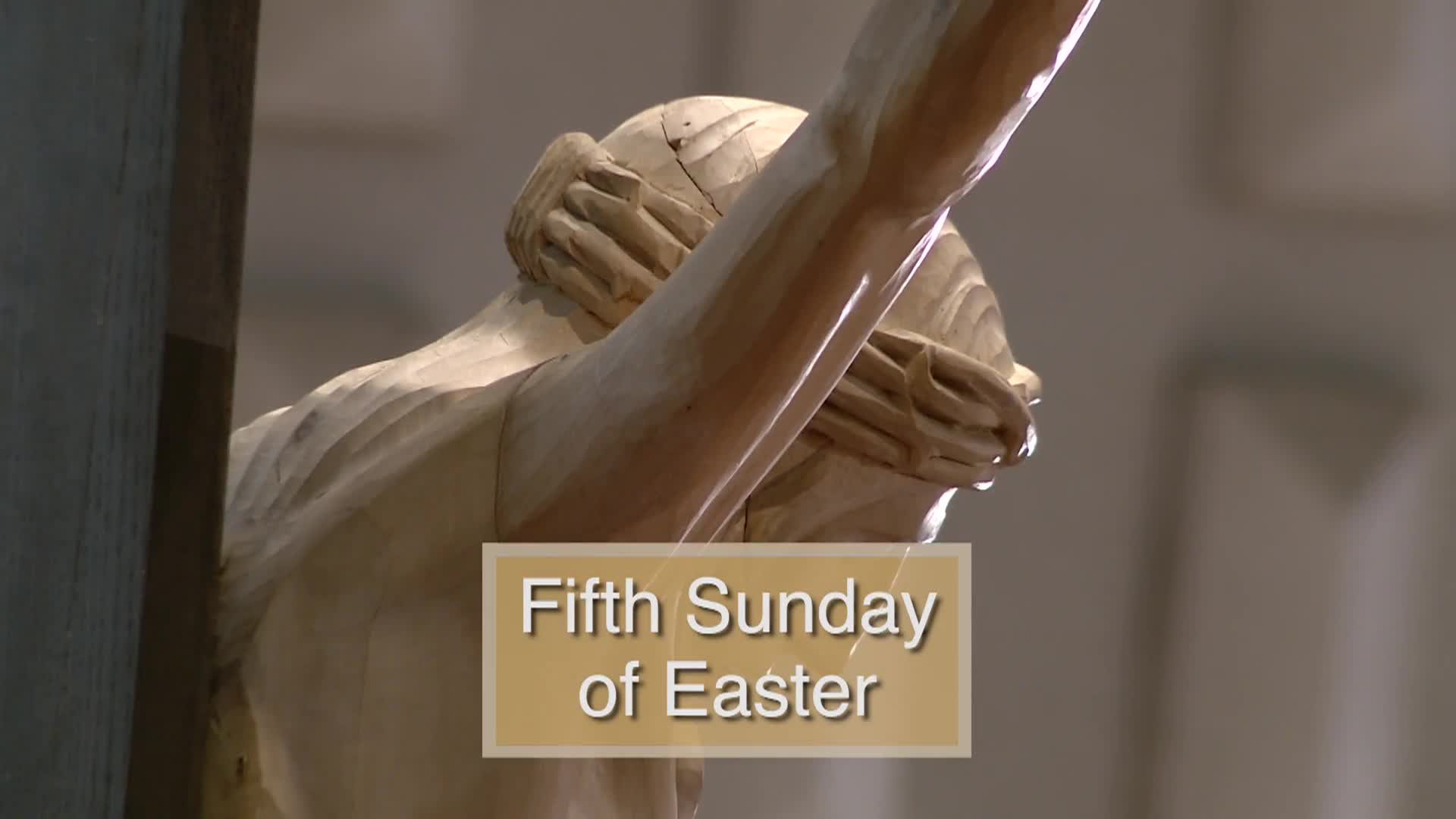Thumbnail image for Diocese of Lansing Outreach Mass: May 3, 2026