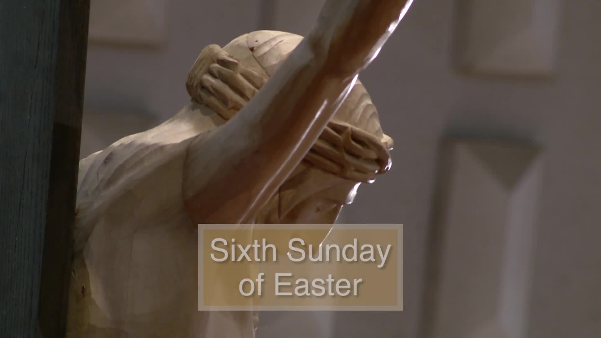 Thumbnail image for Diocese of Lansing Outreach Mass: May 10, 2026