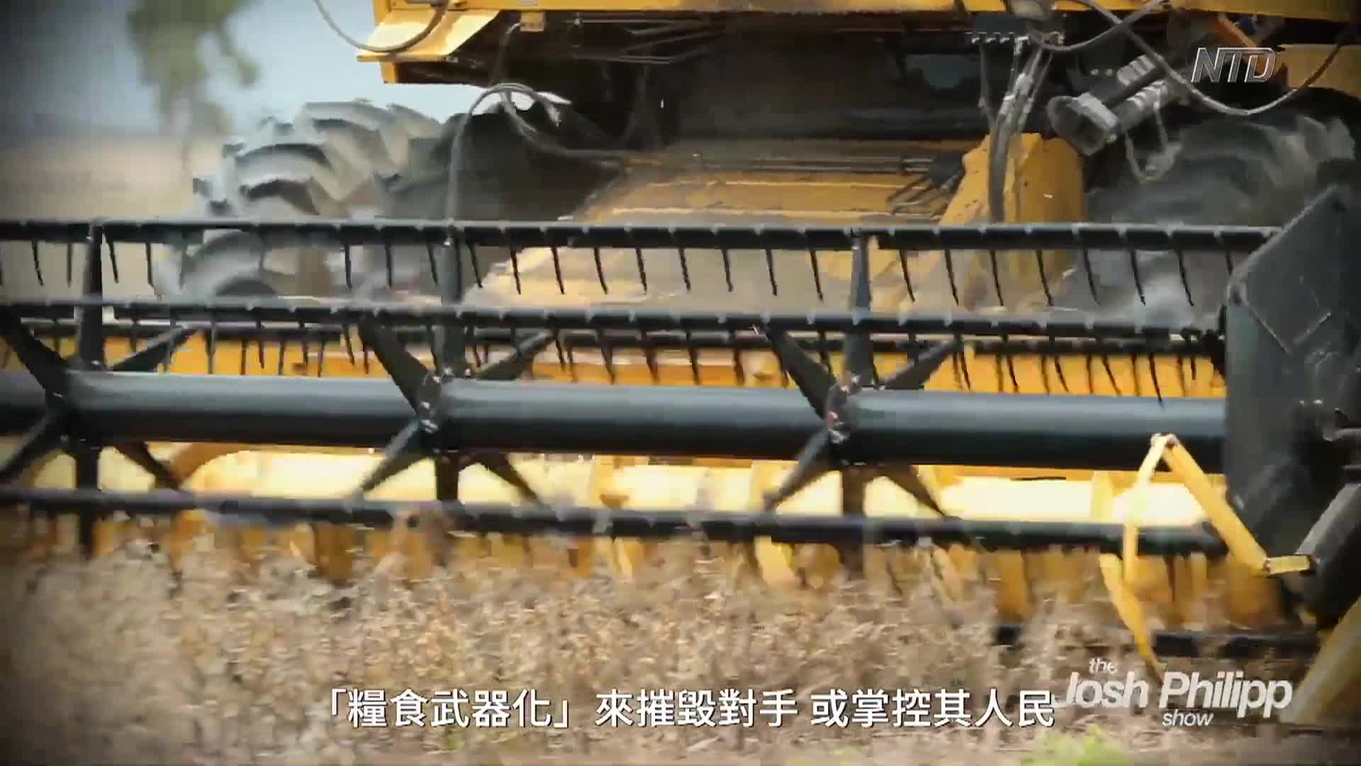 Thumbnail image for NTD Programs