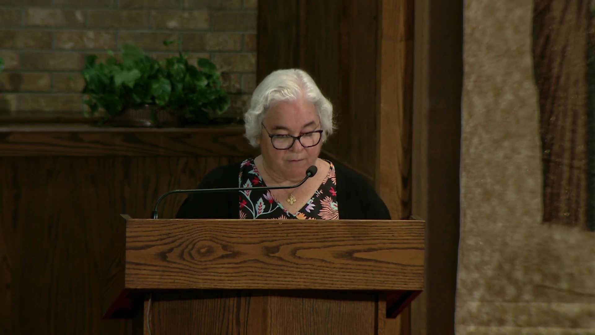 Thumbnail image for Diocese of Lansing Outreach Mass: September 15, 2026