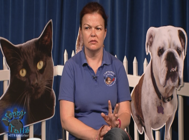 Thumbnail image for Happy Tails