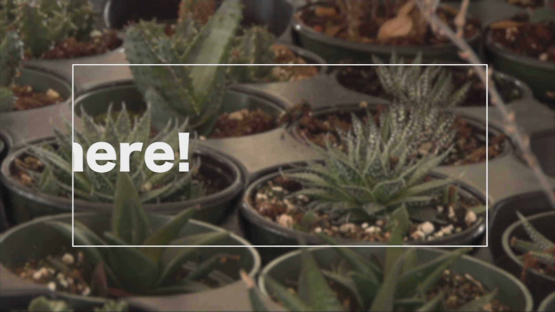 Thumbnail image for CTN at the Art Fair 2018