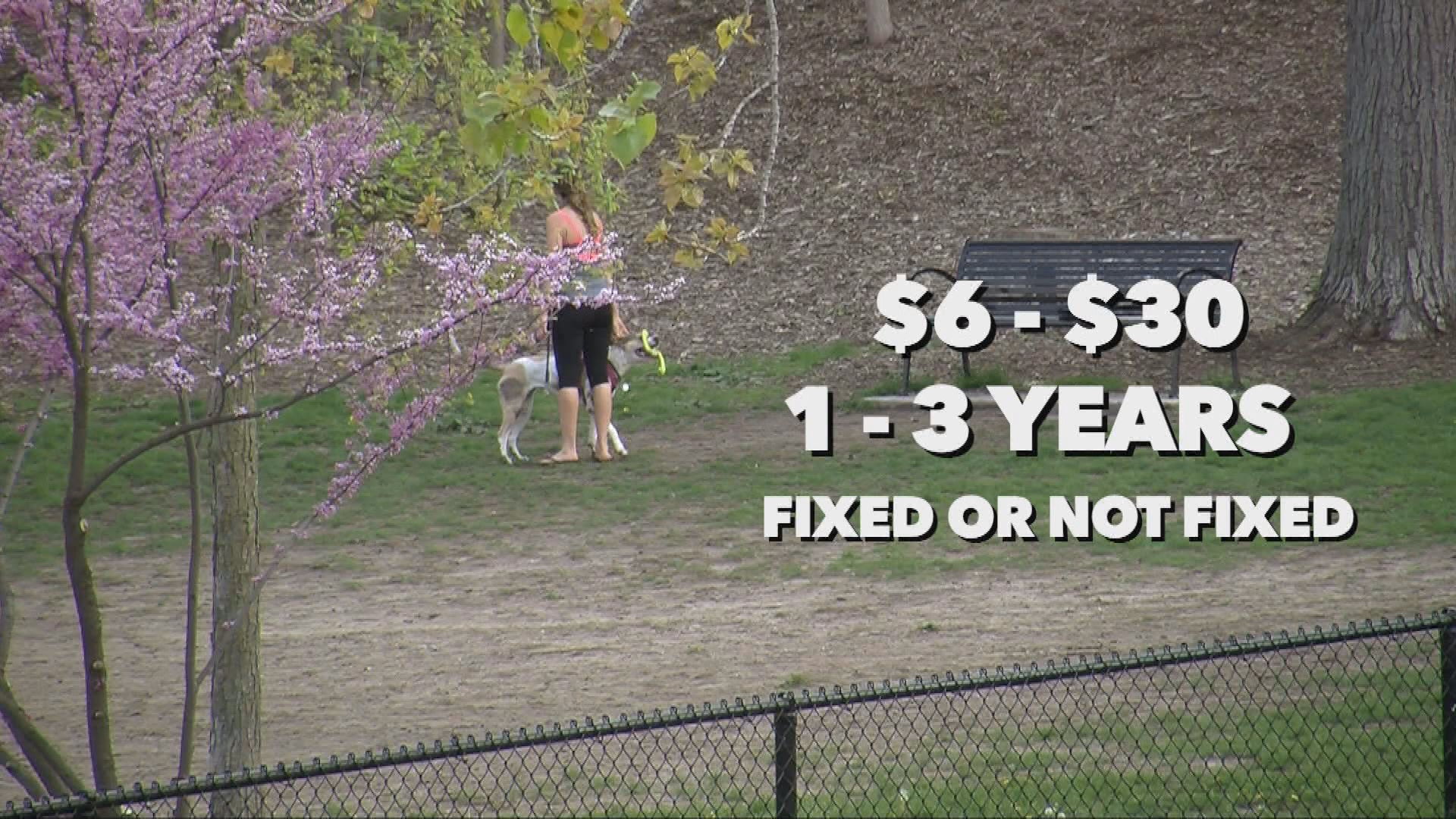 Thumbnail image for CTN at the Art Fair 2018