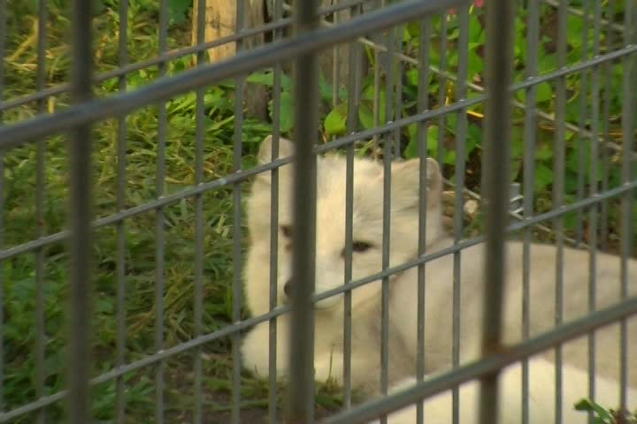 Thumbnail image for Project NPO