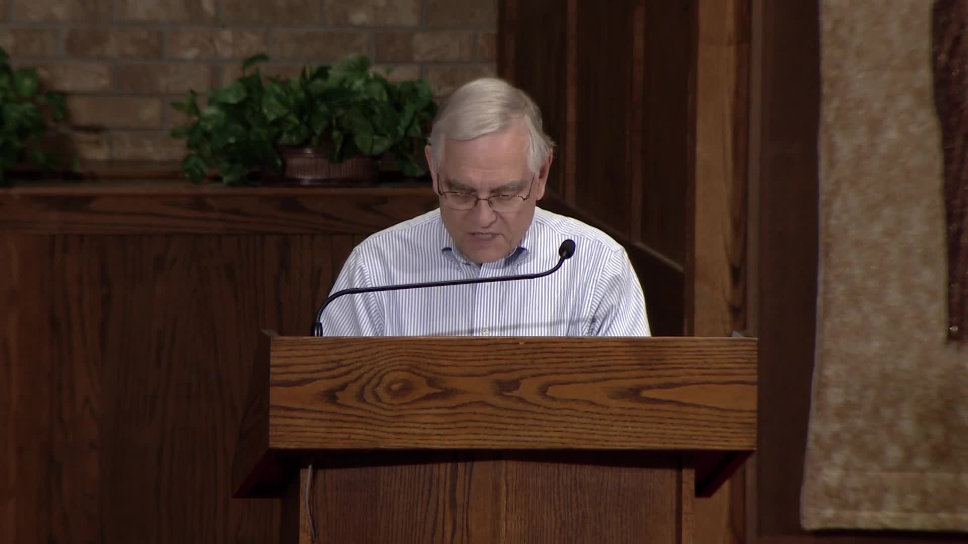 Thumbnail image for Diocese of Lansing Outreach Mass: November 26, 2023