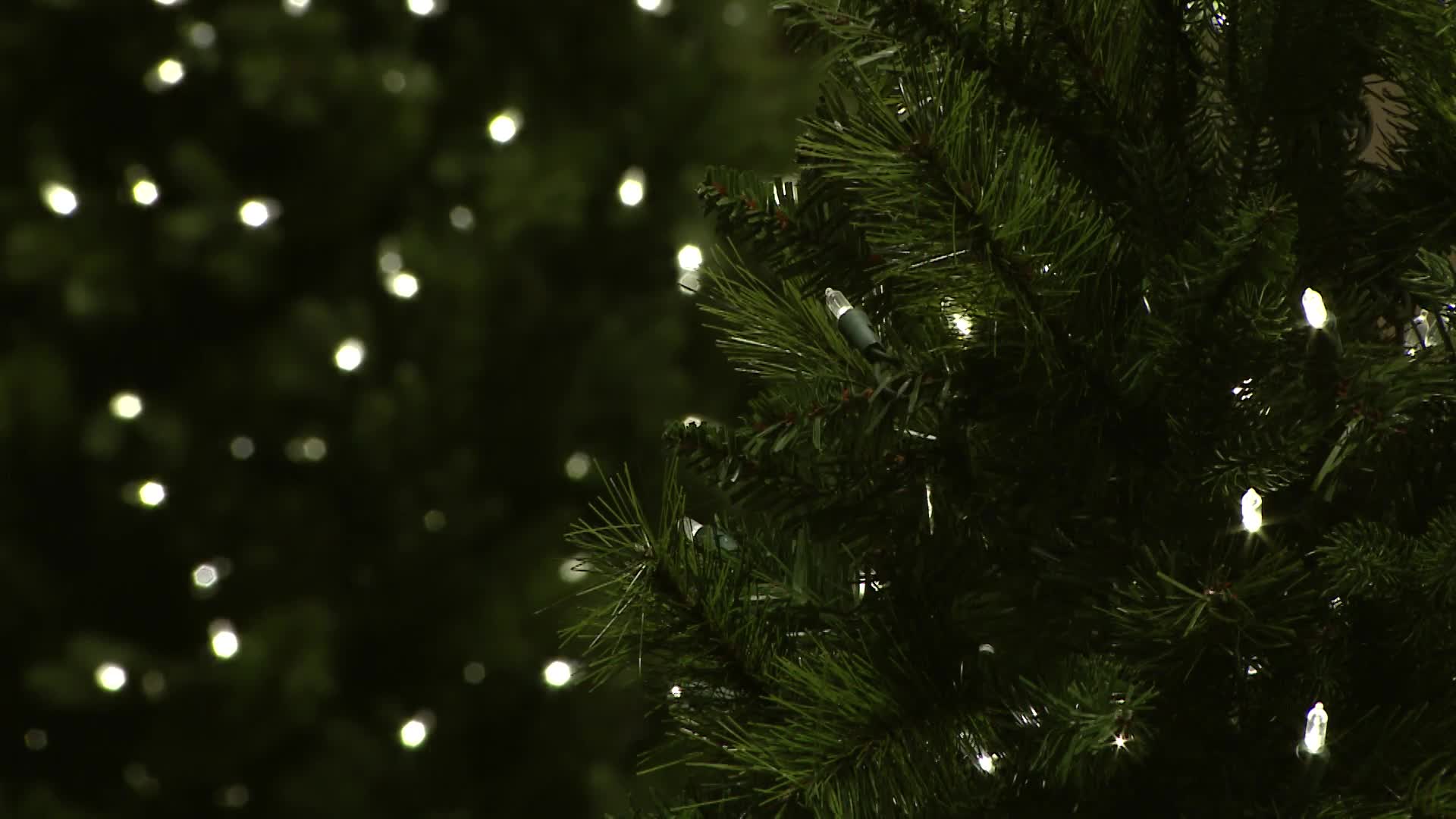 Thumbnail image for Diocese of Lansing Outreach Mass: December 25, 2023