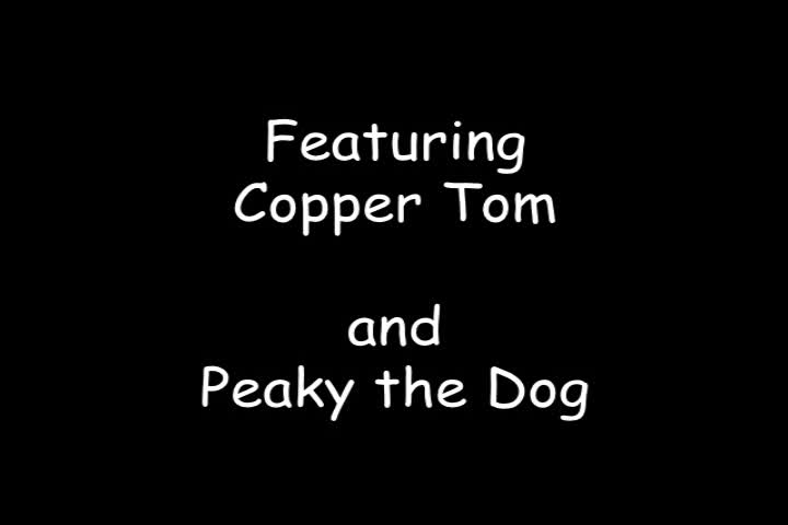 Copper Tom's Musical Playhouse