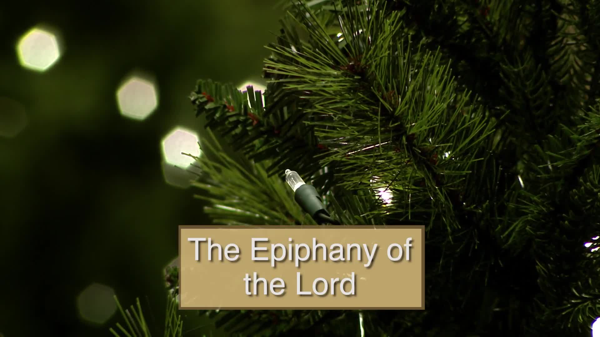 Thumbnail image for Diocese of Lansing Outreach Mass: January 7, 2024