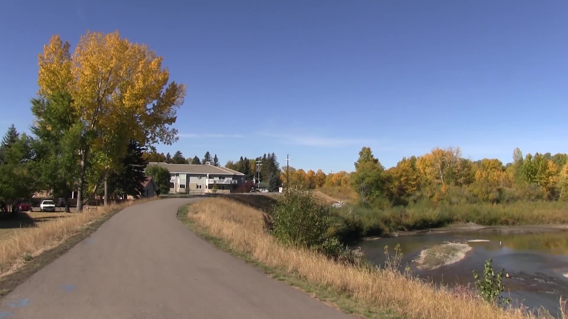 Thumbnail image for Perils For Pedestrians