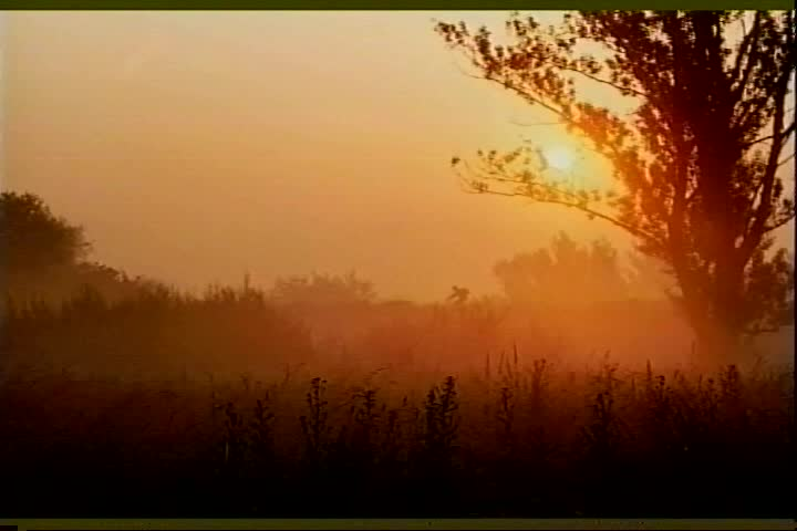 Thumbnail image for The Confusing Interview