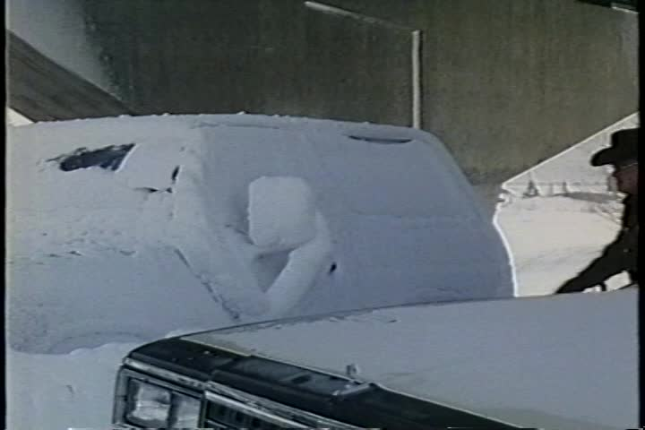 Thumbnail image for Surviving the Cold