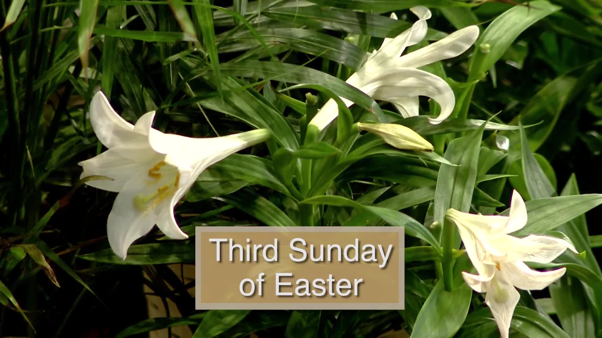 Thumbnail image for Diocese of Lansing Outreach Mass: April 14, 2024