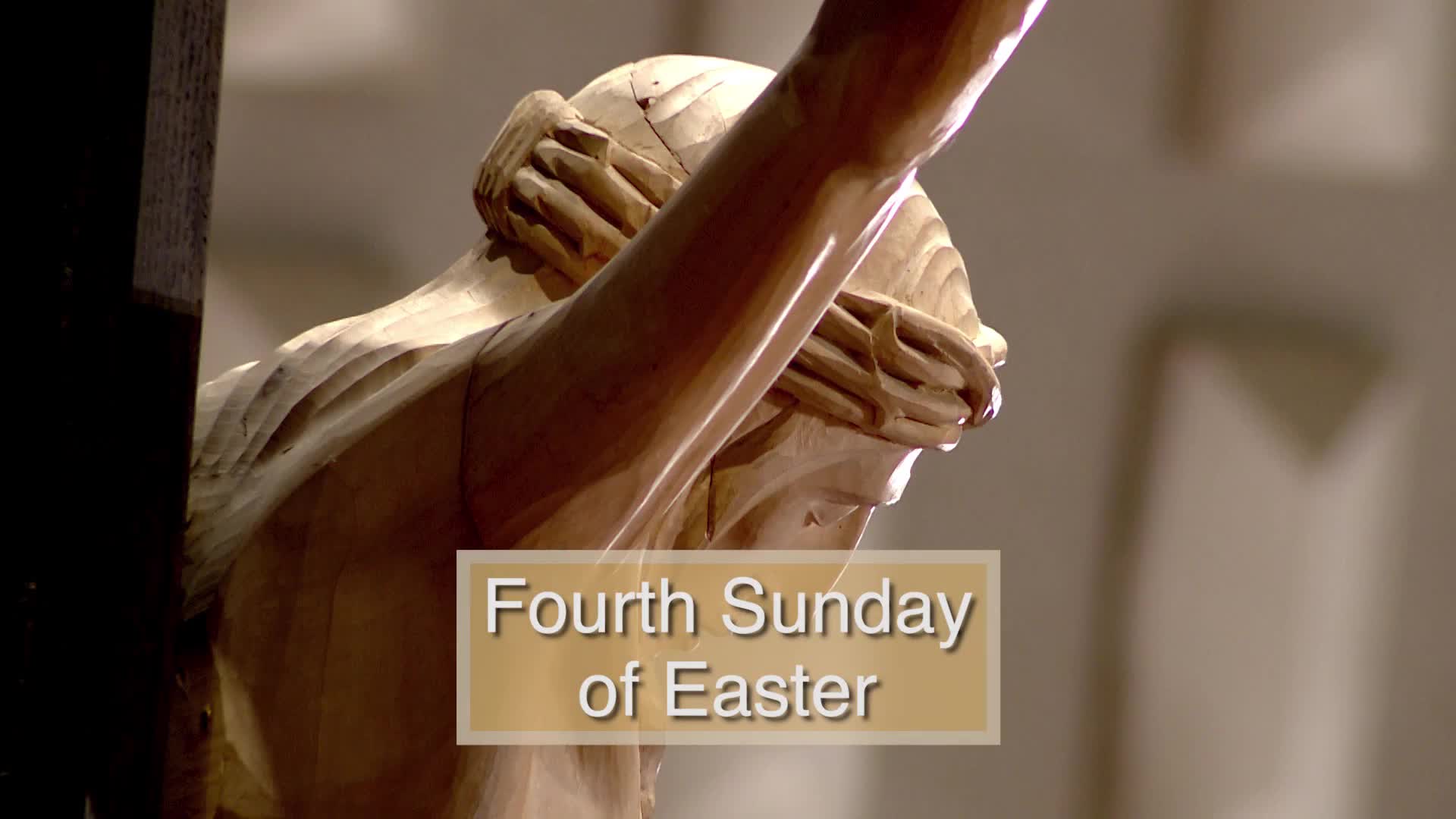 Thumbnail image for Diocese of Lansing Outreach Mass: April 21, 2024