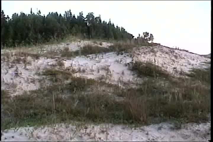 Thumbnail image for GS Multitheme Theater