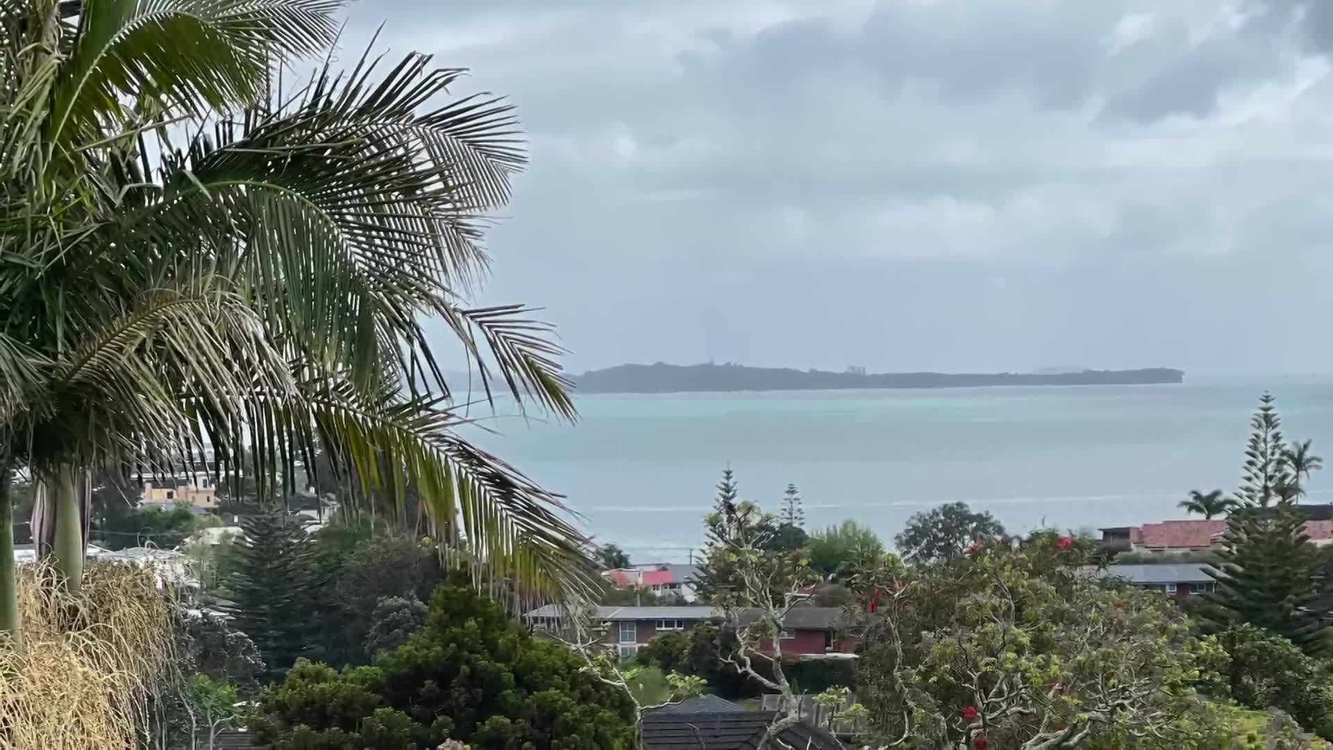 Thumbnail image for Cooking and Kids