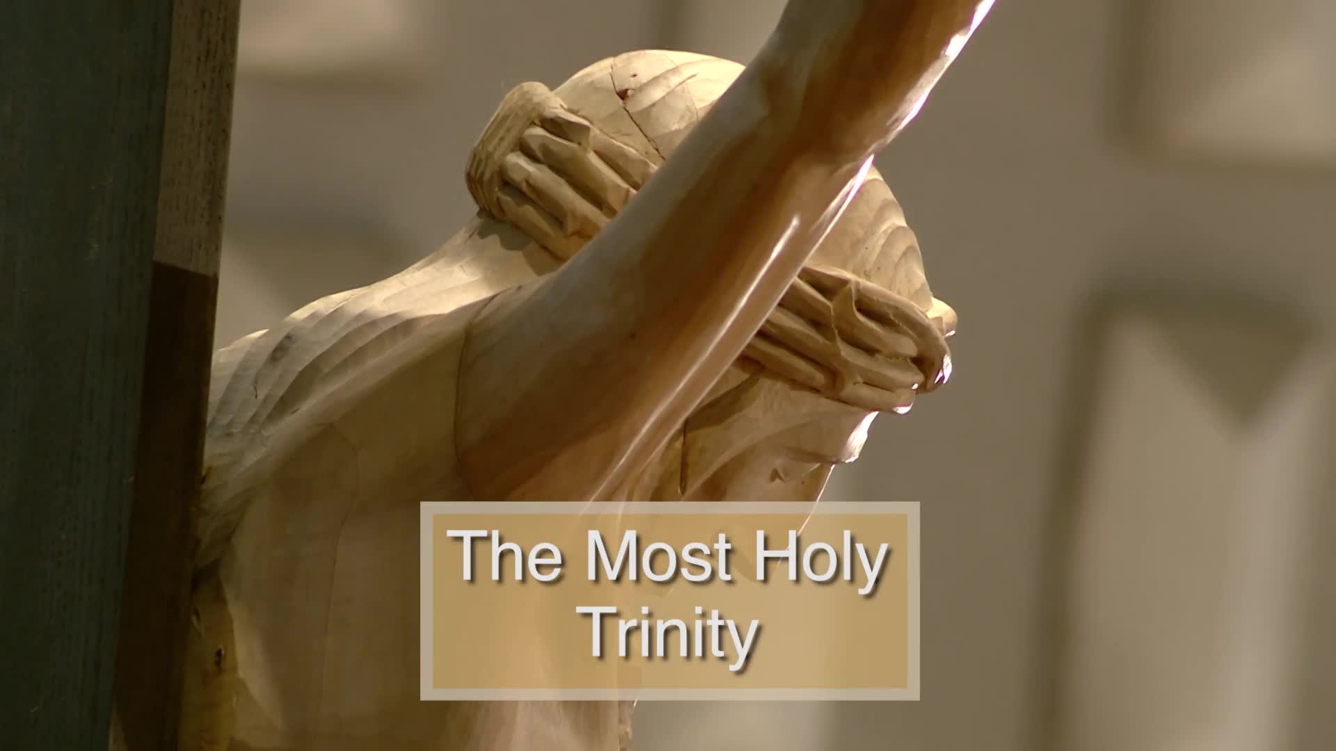 Thumbnail image for Diocese of Lansing Outreach Mass: May 26, 2024