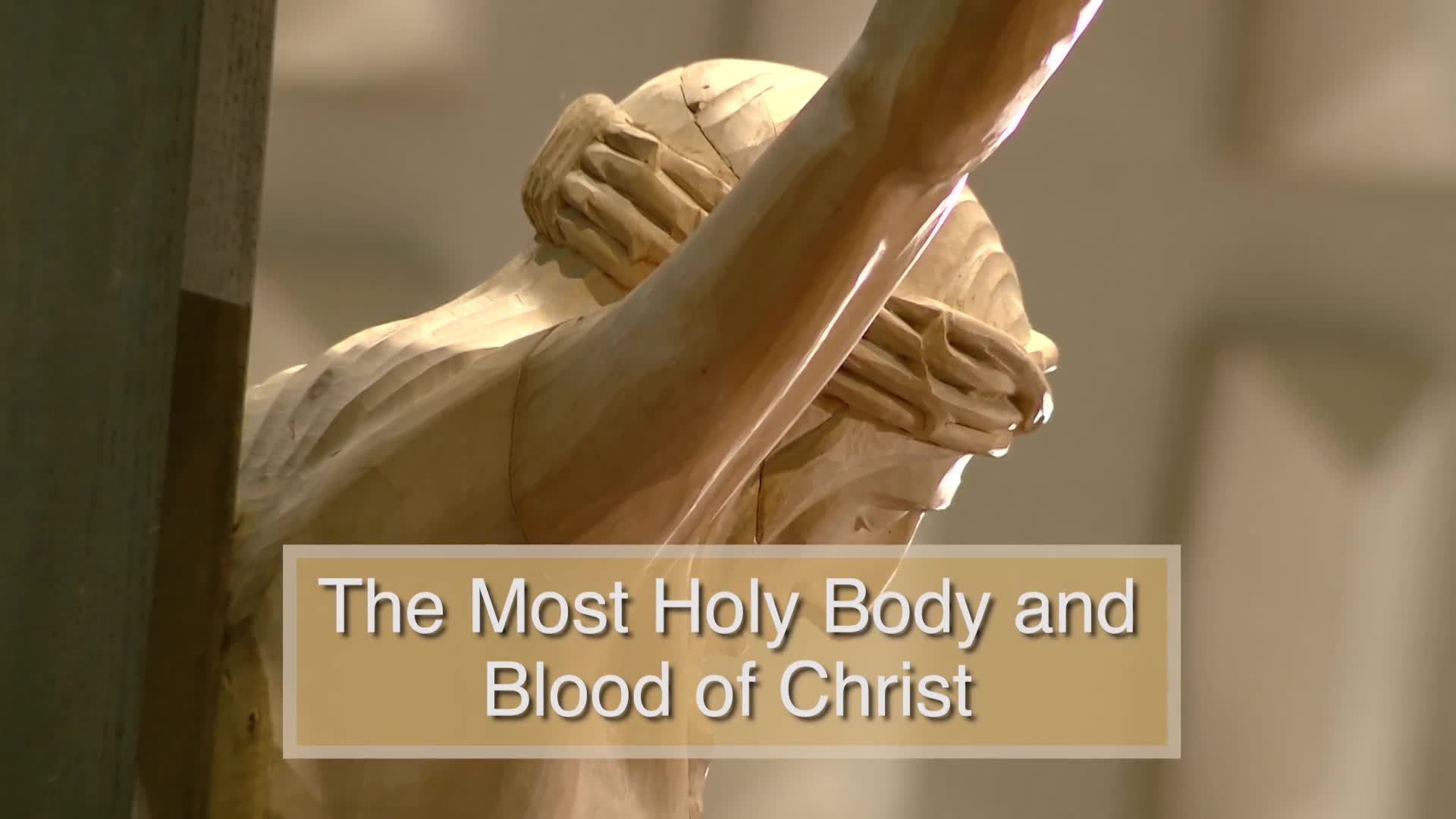 Thumbnail image for Diocese of Lansing Outreach Mass: June 2, 2024