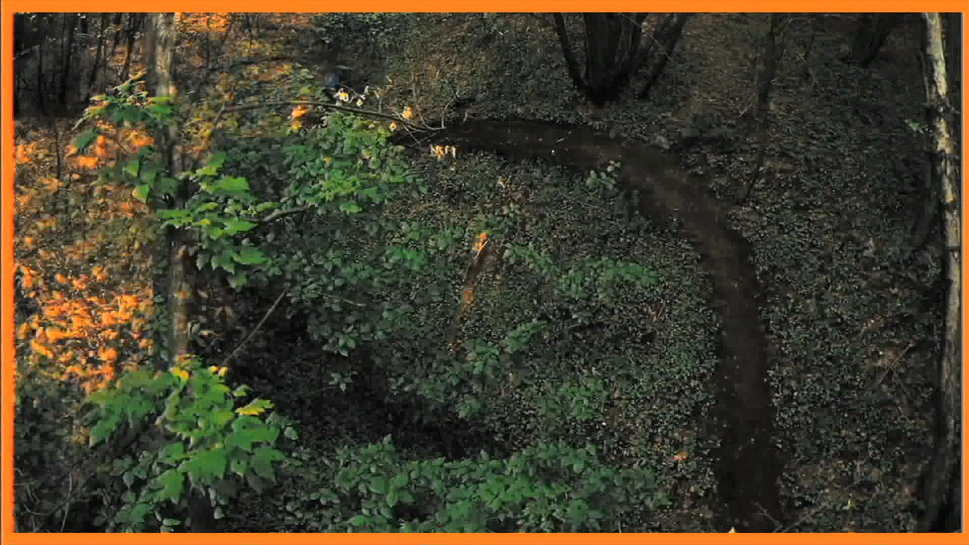 Thumbnail image for Planet X