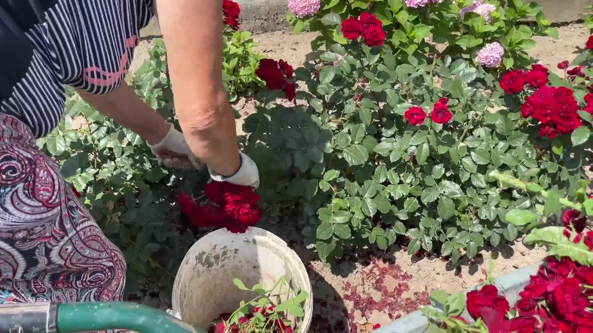 Thumbnail image for Cooking and Kids