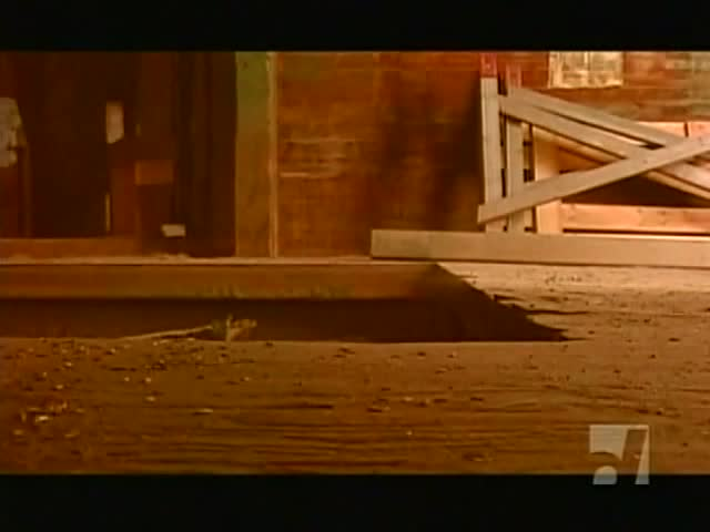 Thumbnail image for Understanding Television