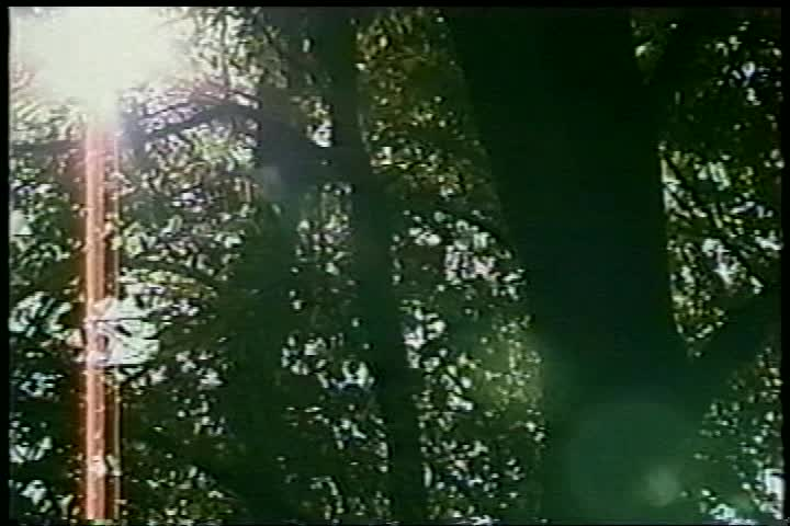 Thumbnail image for YogaForToday198