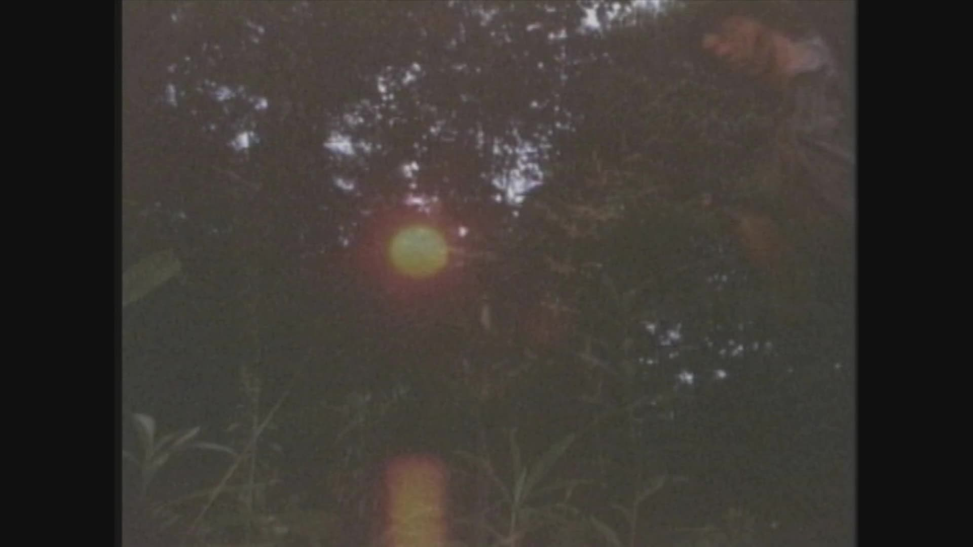 Thumbnail image for Drawing Flies