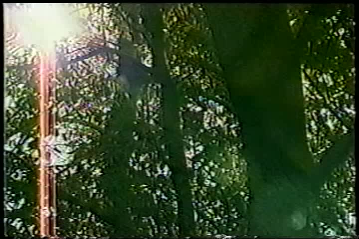 Thumbnail image for Yoga For Today