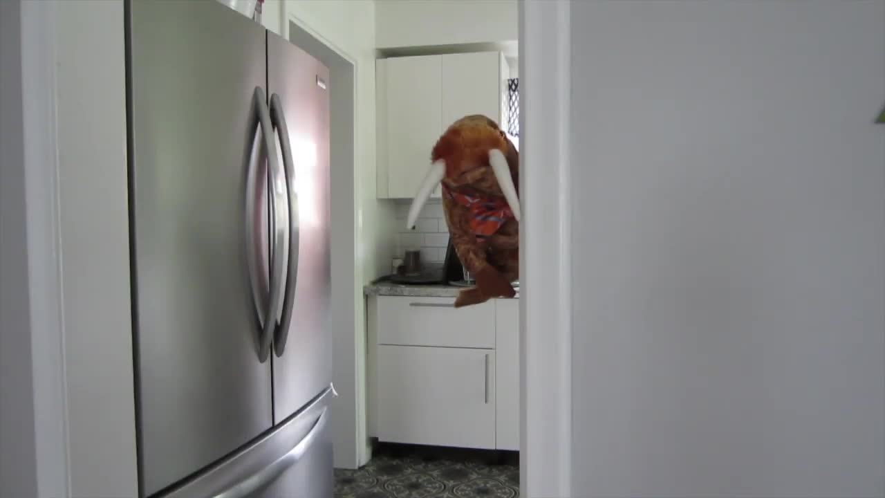 Thumbnail image for The Saturday Show