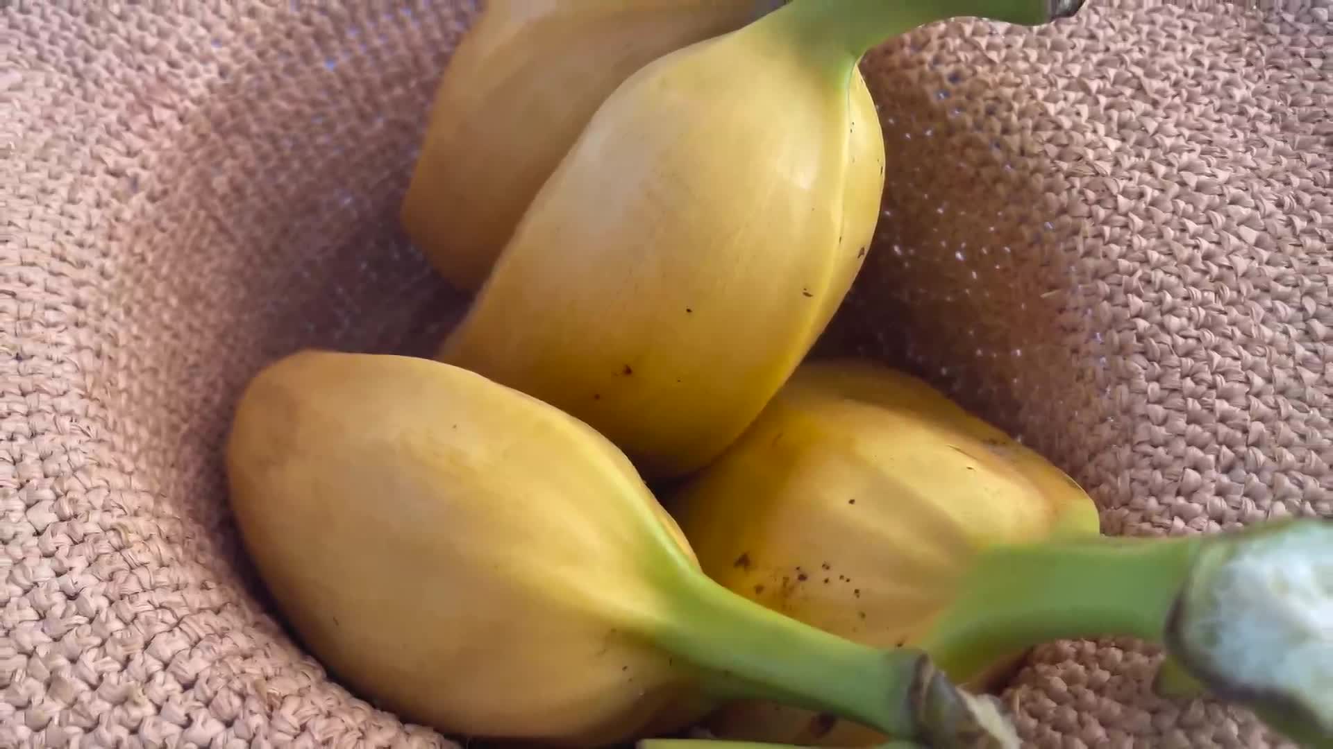 Thumbnail image for Cooking and Kids