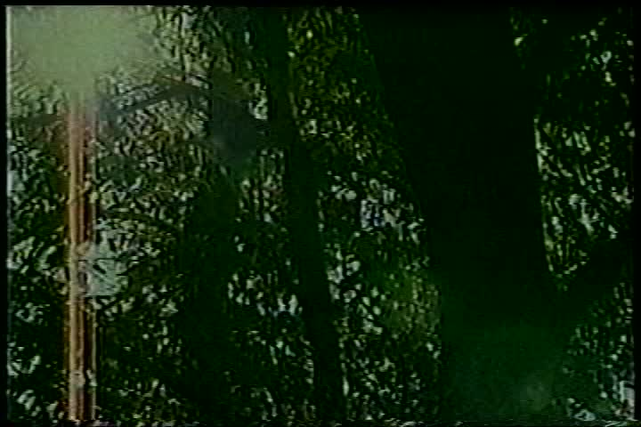 Thumbnail image for Yoga For Today