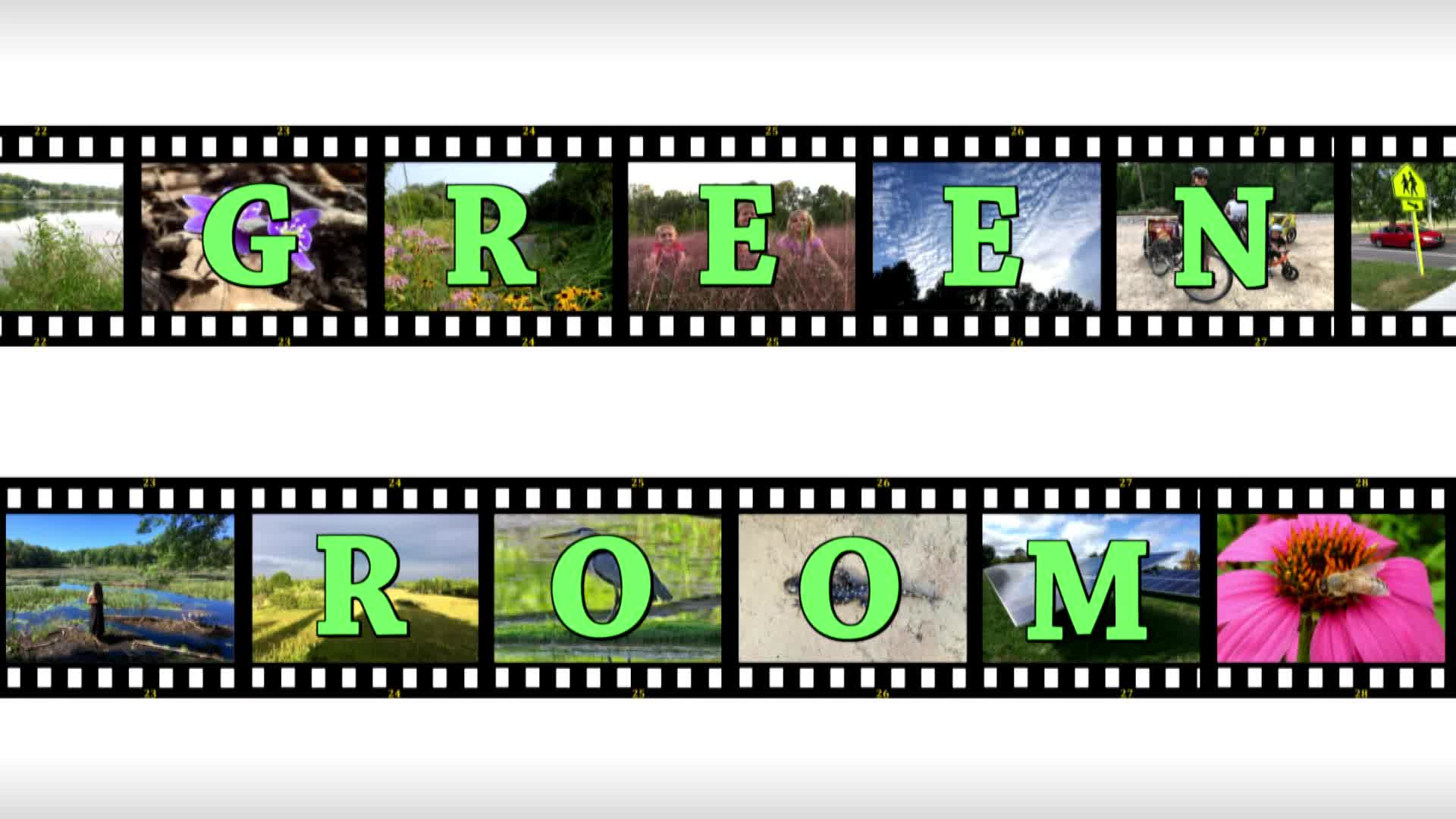 Thumbnail image for Green Room