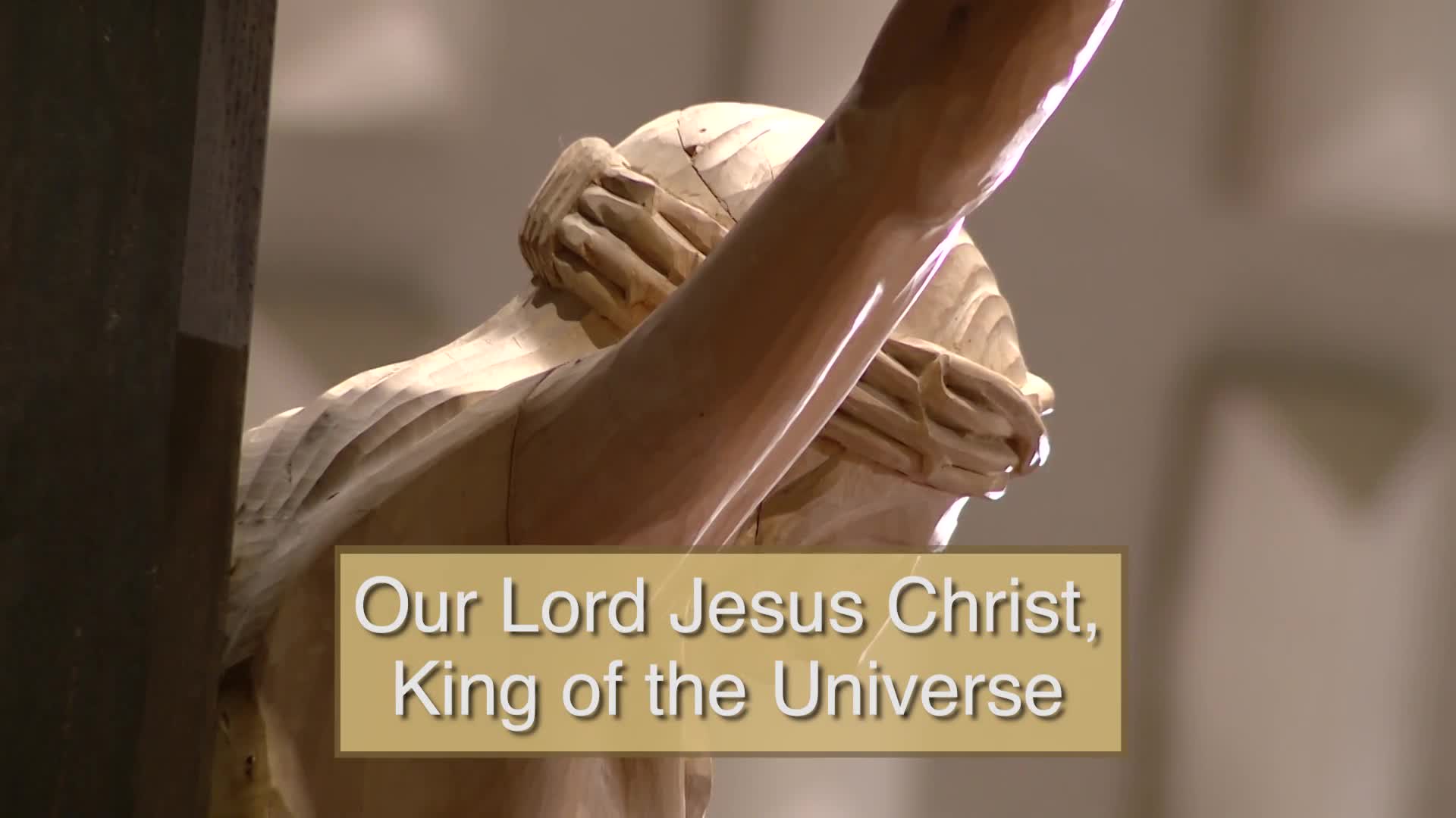 Thumbnail image for Diocese of Lansing Outreach Mass: November 24, 2024
