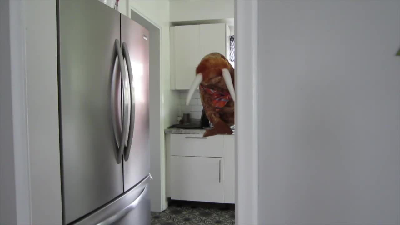 Thumbnail image for The Saturday Show