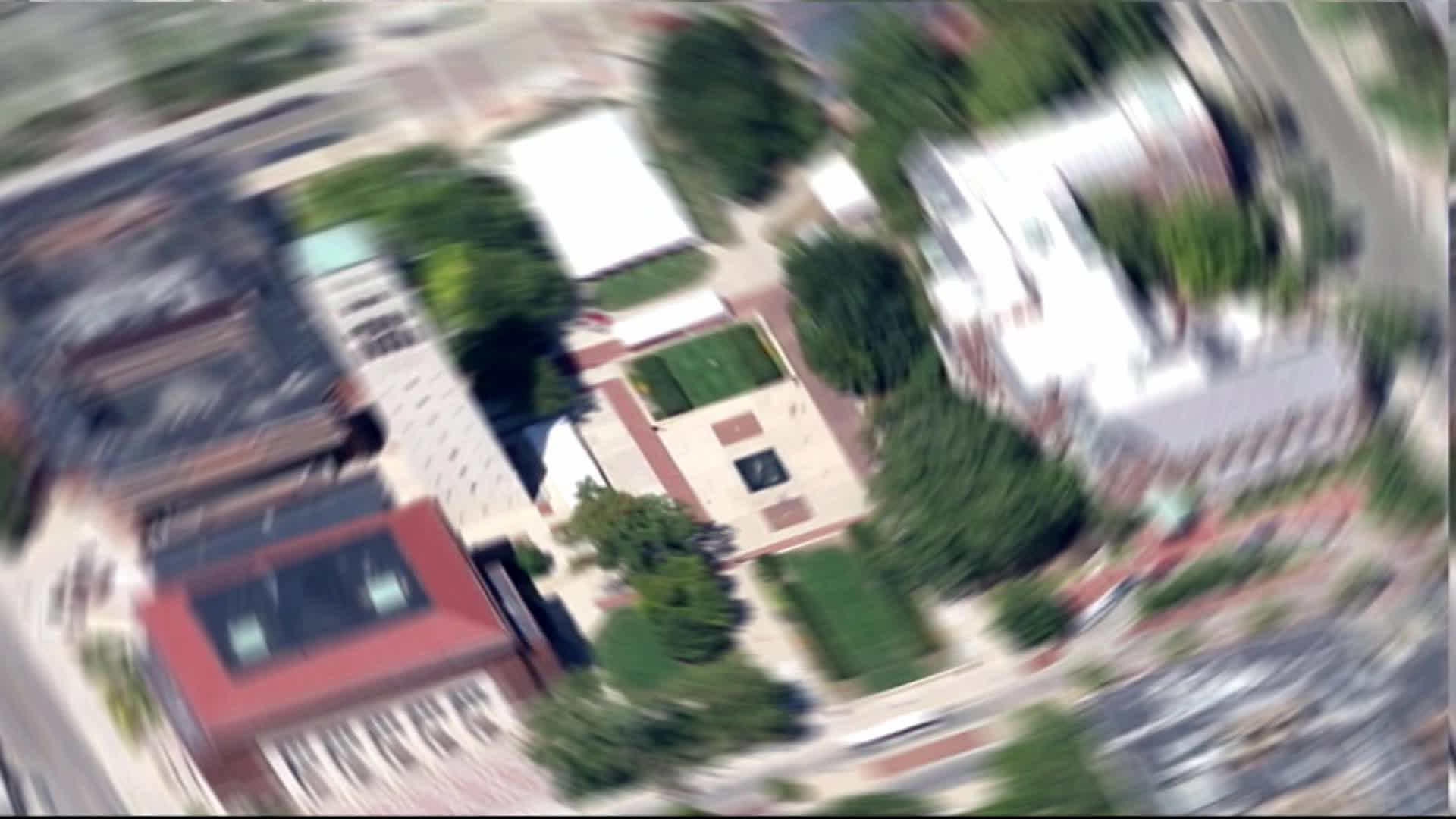 Thumbnail image for CTN at the Art Fair 2017