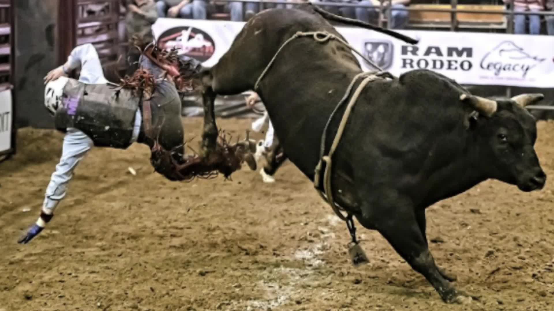 Thumbnail image for Ask Grandma Carol