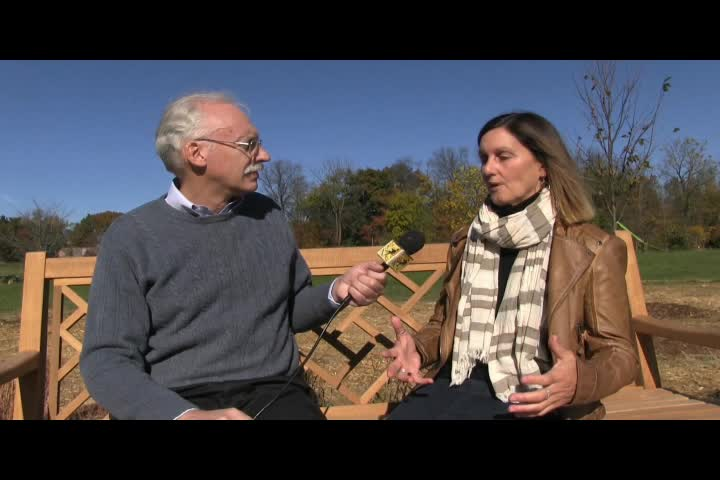 Thumbnail image for Perils For Pedestrians