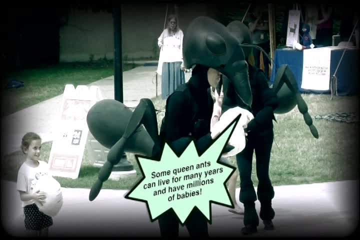 Thumbnail image for Invasion of the Ants at the A2SF 2018