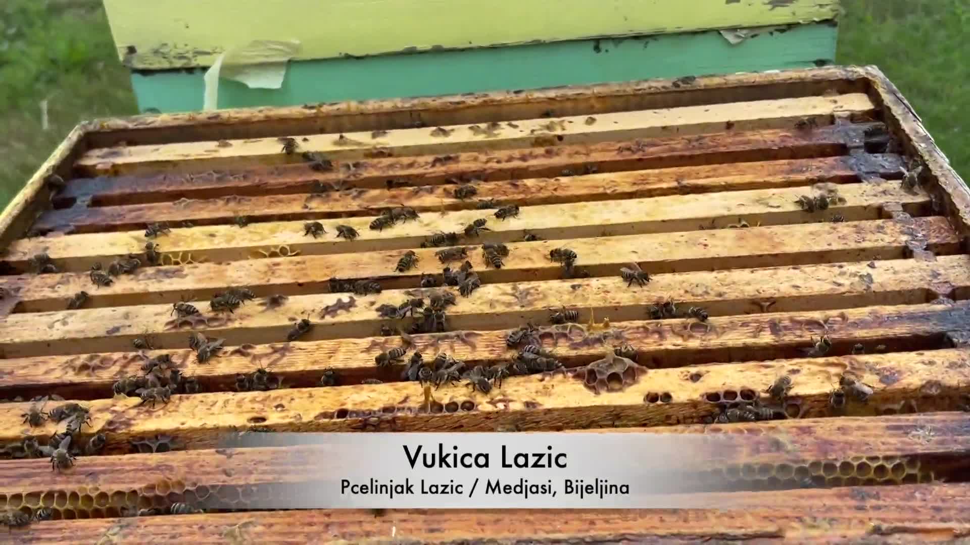 Thumbnail image for Cooking and Kids