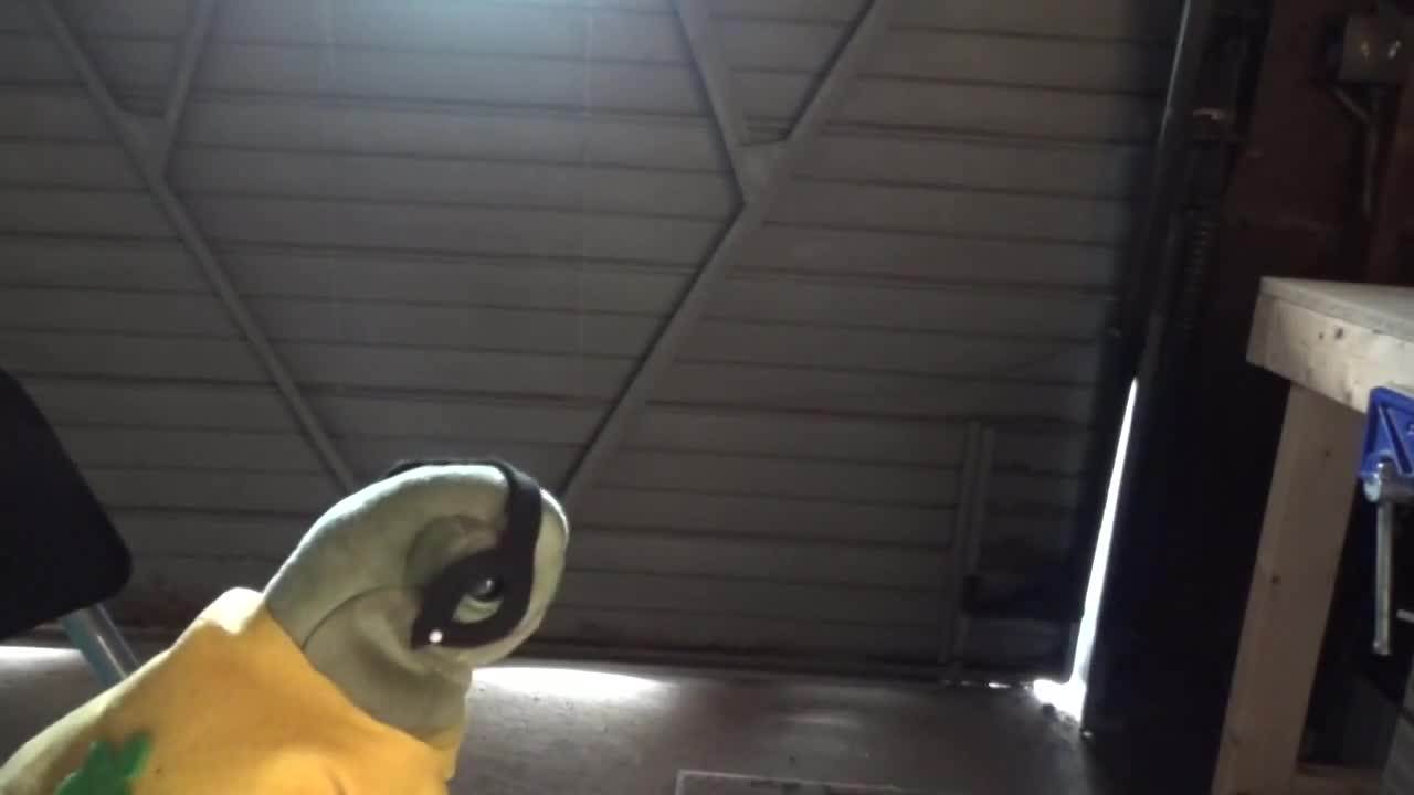 Thumbnail image for The Saturday Show